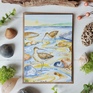 Curlew Card